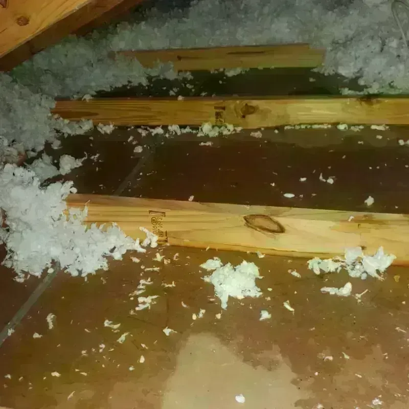 Attic Water Damage in Cayuga, IN